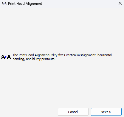 Windows Print Head Alignment: Next button