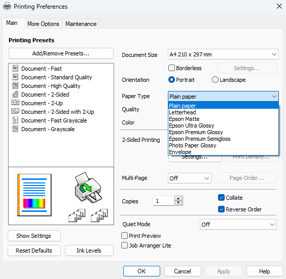 Epson printer driver Advanced tab showing quality options and DPI values
