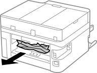 Ecotank Series Remove Paper from rear feed
